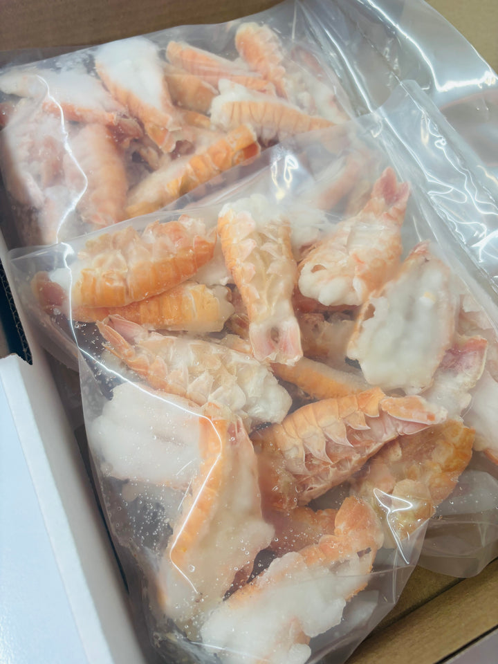 Langoustines (Scampi) 16/20