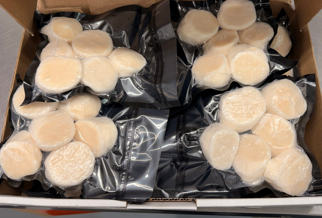 Pétoncles jumbo sous vide, chair ferme et fraîche, parfaits pour cuisson rapide poêle ou BBQ
