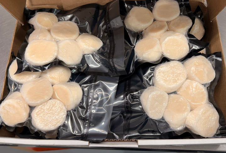 Pétoncles jumbo sous vide, chair ferme et fraîche, parfaits pour cuisson rapide poêle ou BBQ