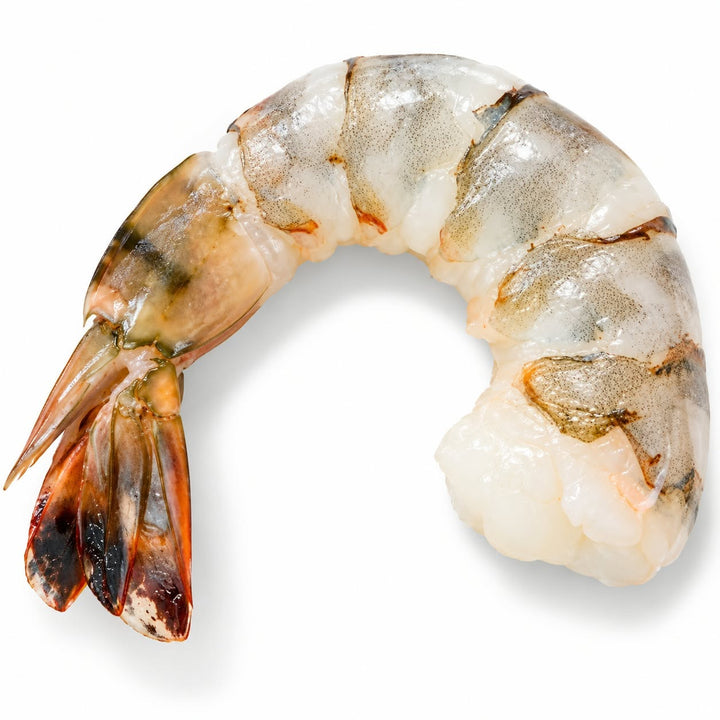 Crevettes tigrées géantes 16/20 crues, pelées et déveinées, avec queues, présentées sur un lit de glace avec citron et persil.