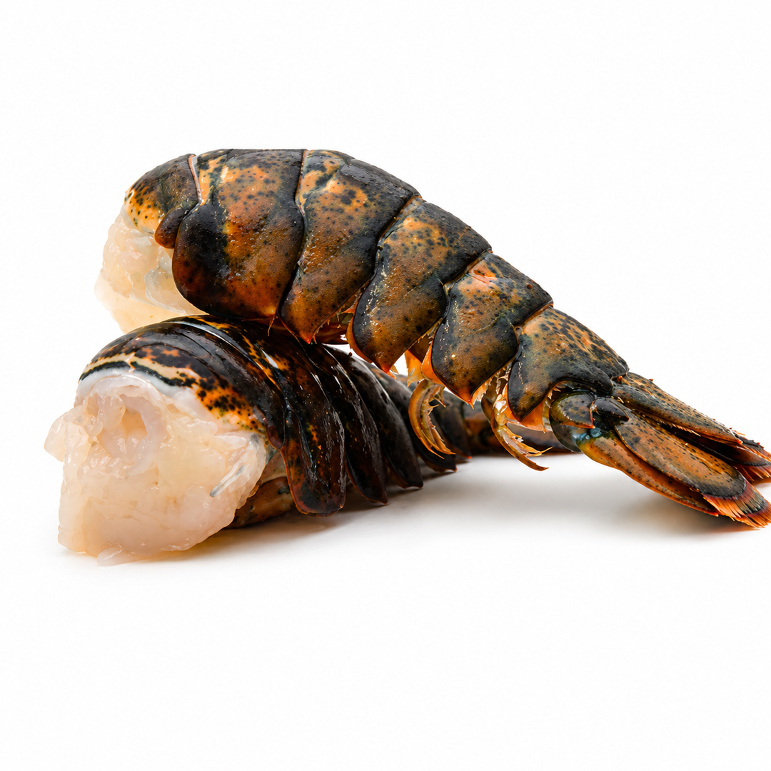 Queue de Homard