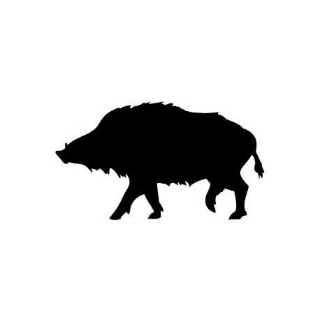 Médaillon de sanglier du Québec