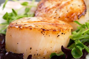 Boîte de 5 lbs  Pétoncles géants très tendres, au goût légèrement sucré pouvant être servis crus, poêlés, en chaudrée, en brochette, sautés ou grillés.  Cuisson : dans une poêle, cuire 1-2 minutes de chaque côté à feu moyen fort.